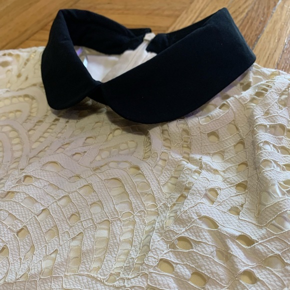 NWOT Zara Lace Dress with Black Collar - Picture 6 of 6